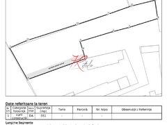 Tei Vanzare teren -Petricani la bulevard