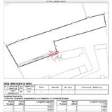 Tei Vanzare teren -Petricani la bulevard